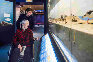 Personne en fauteuil roulant visitant le musée de la Station LPO